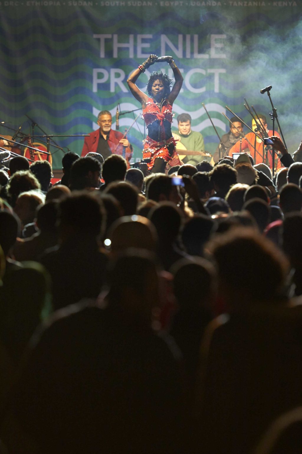 Nile-Project_2013-Cairo-Concert_180_Matjaz-Kacicnik