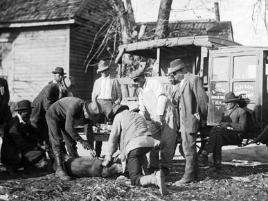 Knapp_Agricultural_Truck_(c)_Tuskegee University